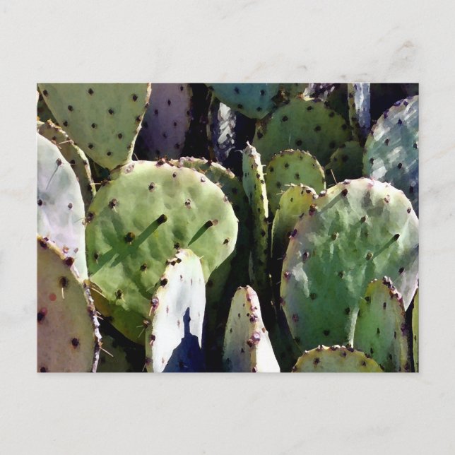 Prickly Pear No. 3 Postcard (Front)