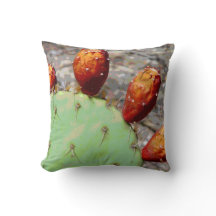 Prickly Pear Pillow