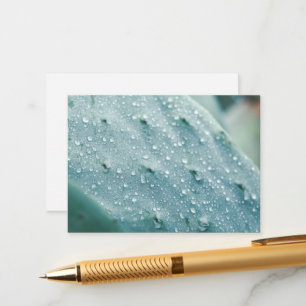 Prickly Pear Texture Pale Green Enclosure Card