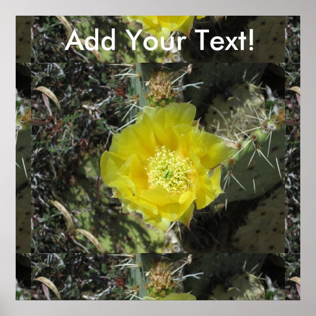 Prickly Pear Yellow Bloom Close Poster (Front)