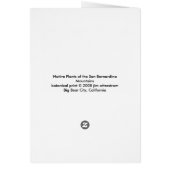 Prickly Poppy Botanical Print Cards (Back)