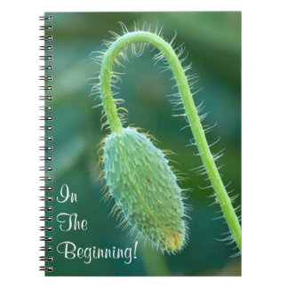 Prickly Poppy Bud In Progress Close-Up Photograph Notebook