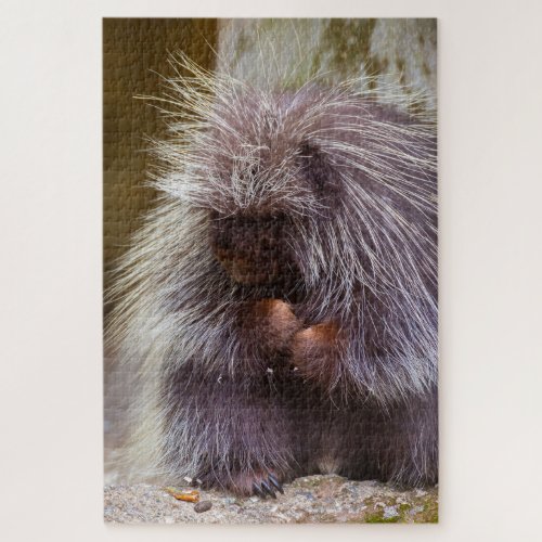 Prickly Porcupine Challenging Nature Lover Jigsaw Puzzle