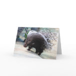 Prickly Porcupine Greeting Card