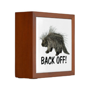 Prickly Porky Desk Organizer