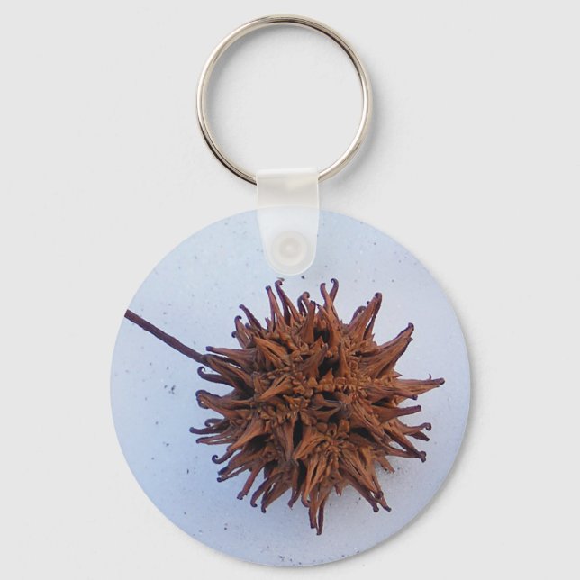 Prickly Seed ~ keychain (Front)