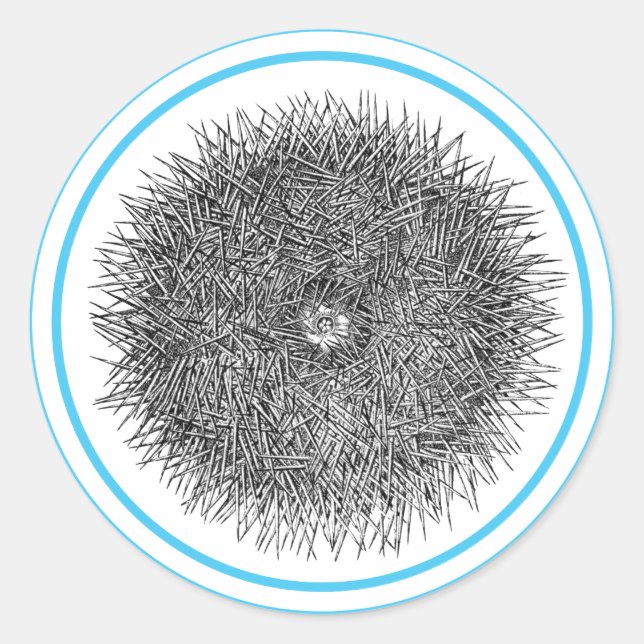 Pricky Urchin sticker (Front)