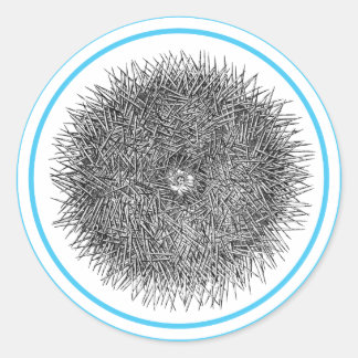Pricky Urchin sticker