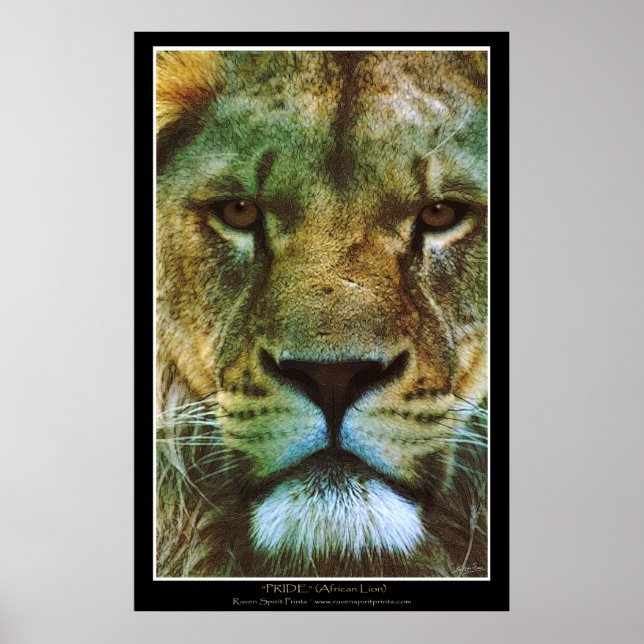 "PRIDE" African Lion Poster Print (Front)