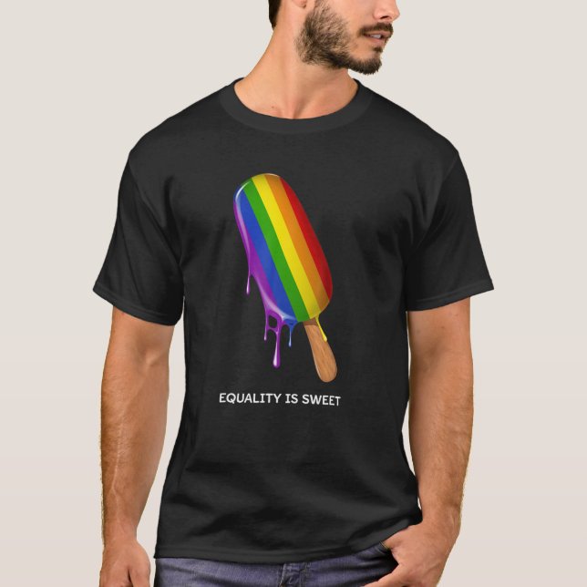 Pride Ally , LGBT Flag Gay T-Shirt (Front)