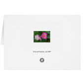 Pride and Prejudice Cards (Back Horizontal)