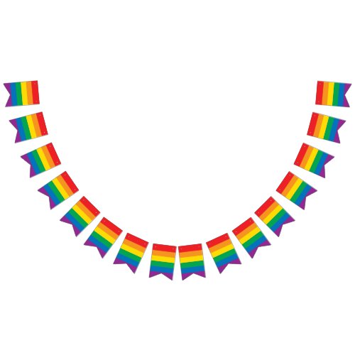 Pride  Colorful Rainbow Design Bunting Flags