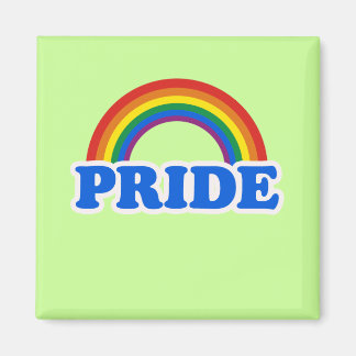 Pride Colors Magnet