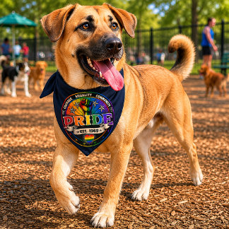 Pride est. 1969 pet bandana collar
