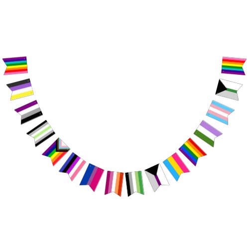 Pride Flag Assortment Garland