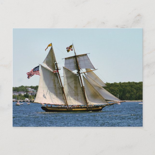 Pride of Baltimore II Tall Ship Postcard (Front)