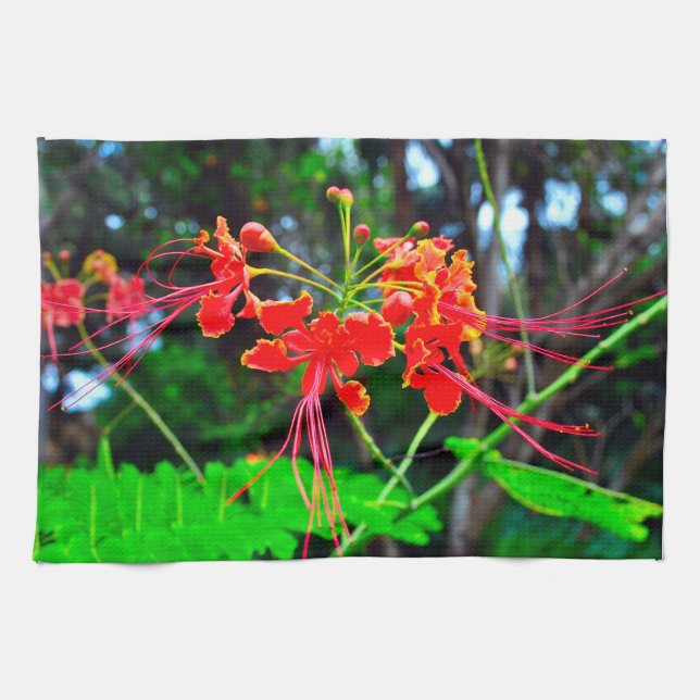 Pride of Barbados   Kitchen Towel (Horizontal)