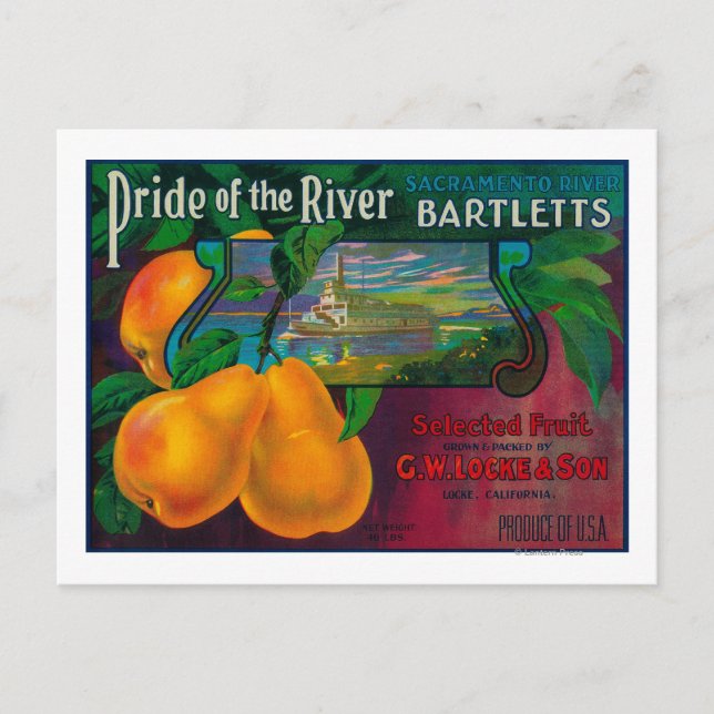 Pride of the River Pear Crate LabelLocke, CA Postcard (Front)