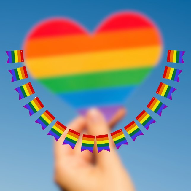 Pride Rainbow Bunting Bunting Flags (rainbow pride bunting)