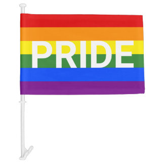 PRIDE Rainbow Stripes LGBT Car Flag