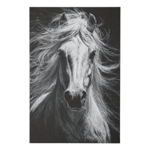 Primal Power 001 – White Horse Faux Canvas Print