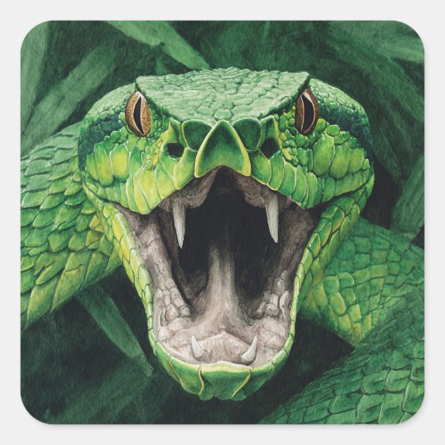 Primal Power 008 – Snake Square Sticker (Front)