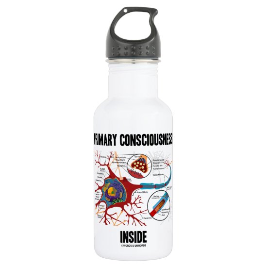 Primary Consciousness Inside (Neuron / Synapse) Water Bottle