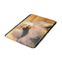 Primate Models: Hamadryas baboon 01