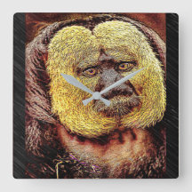 Primate Models: White-faced Saki monkey