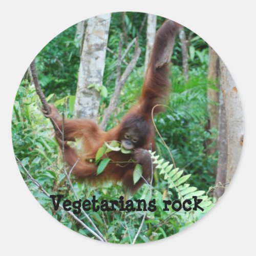 Primate Vegetarians Rock  Classic Round Sticker