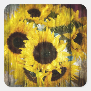 Primitive Barn Wood Western Country Sunflower Square Sticker