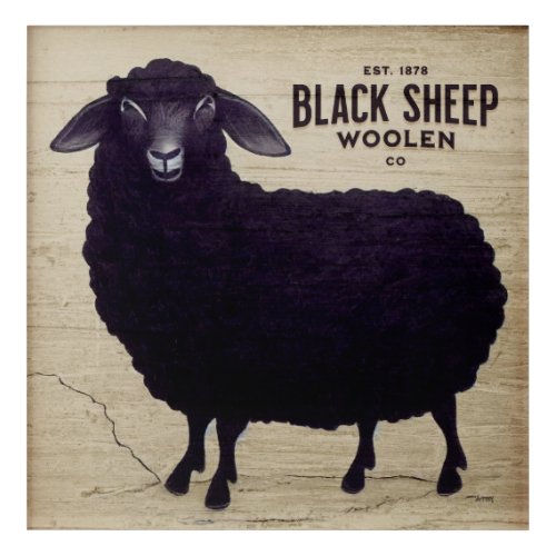 Primitive Black Sheep Woolen Co Acrylic Print