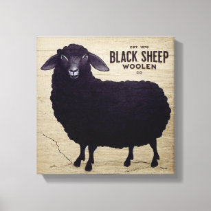 Primitive Black Sheep Woolen Co Canvas Print