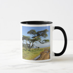 Primitive dirt road and acacia tree, Lake Nakuru Mug