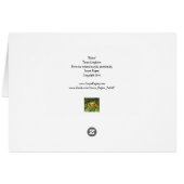 "Primo" - Texas Longhorn Cards (Back Horizontal)