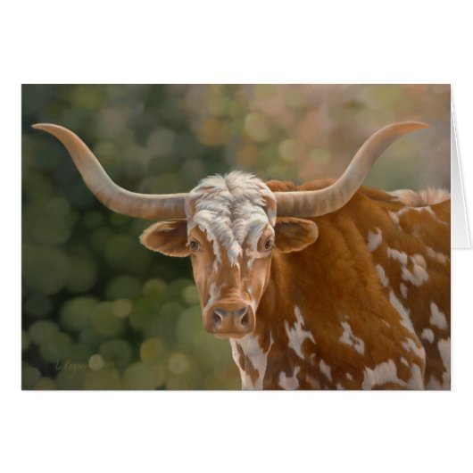 "Primo" - Texas Longhorn Cards (Front Horizontal)