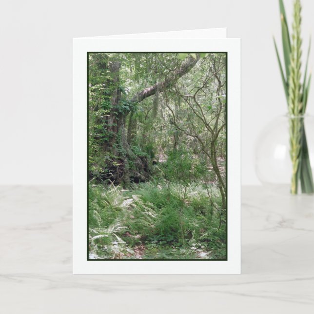 Primordial Landscape Greeting Card (Front)