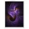 primordial-light-spirals - cosmic lights