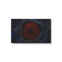 Primordium