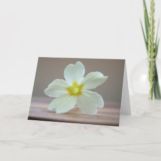 Primrose Card
