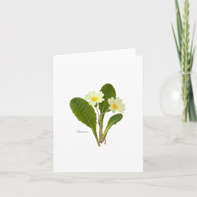 Primrose Card (Front)