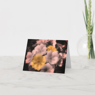 Primrose Flower Black And White Note Card