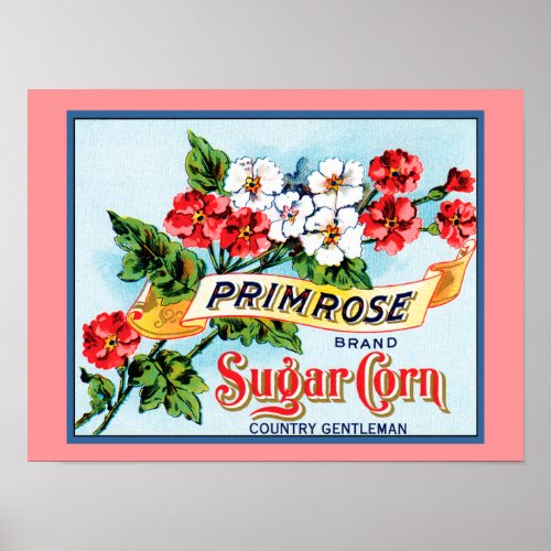 Primrose Flowers Vintage Crate Label Art Poster