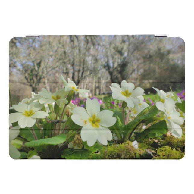Primrose iPad Cover (Horizontal)