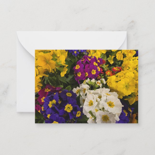 Primrose Note Card (Front)