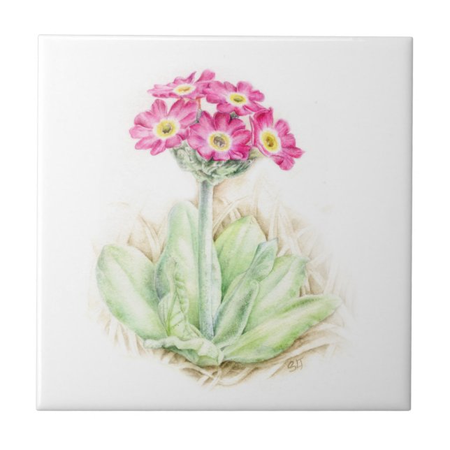 Primrose pink fine art painted tile (Front)