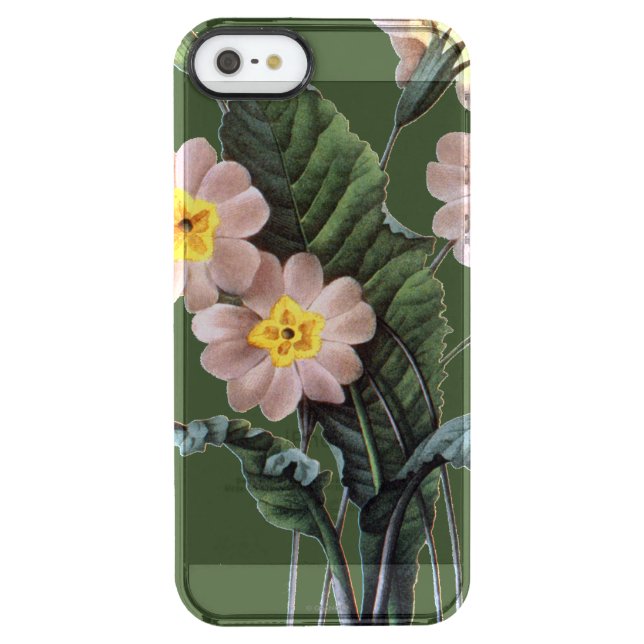 Primrose (Primula Aucalis) Uncommon iPhone Case (Back)