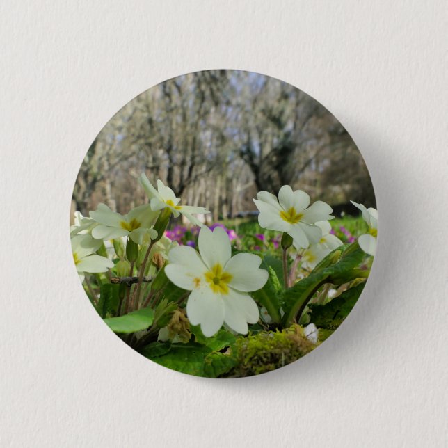 Primrose (Primula vulgaris) Badge Button (Front)