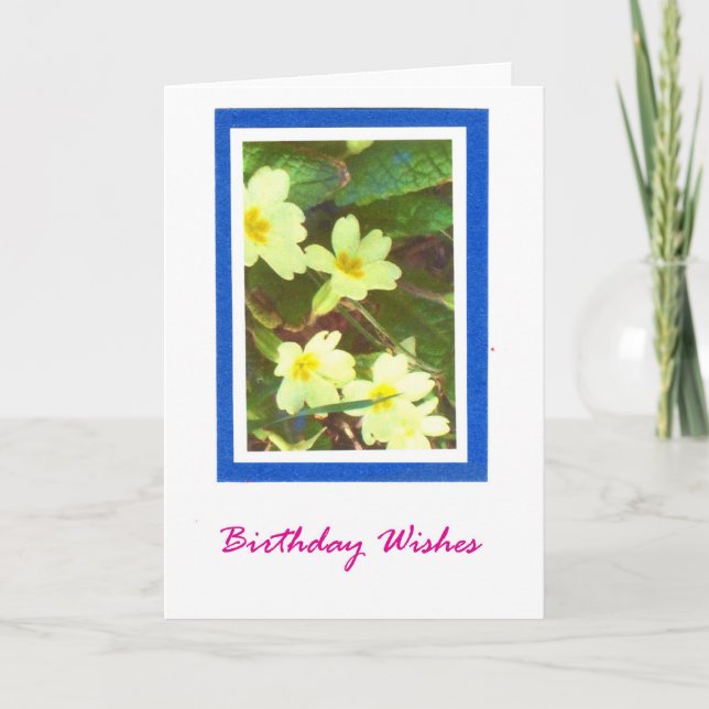 Primroses Birthday Card (Front)