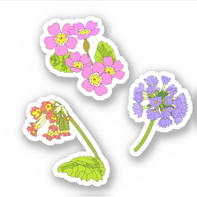 Primroses  sticker (Front)